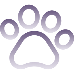 Pets